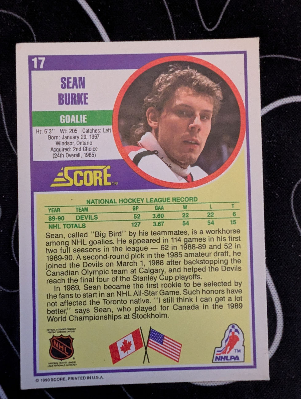 Thumbnail: Sean Burke #17 1990 Score Hottest and Rising Stars