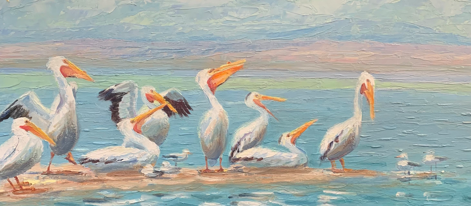 For the Love of Birds