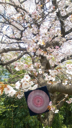 糸かけマンダラ（M.Oさま）