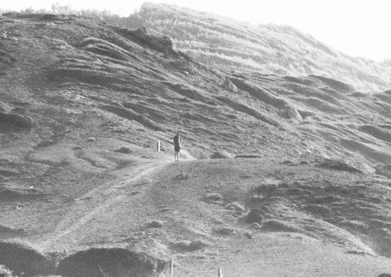 Lone Hills