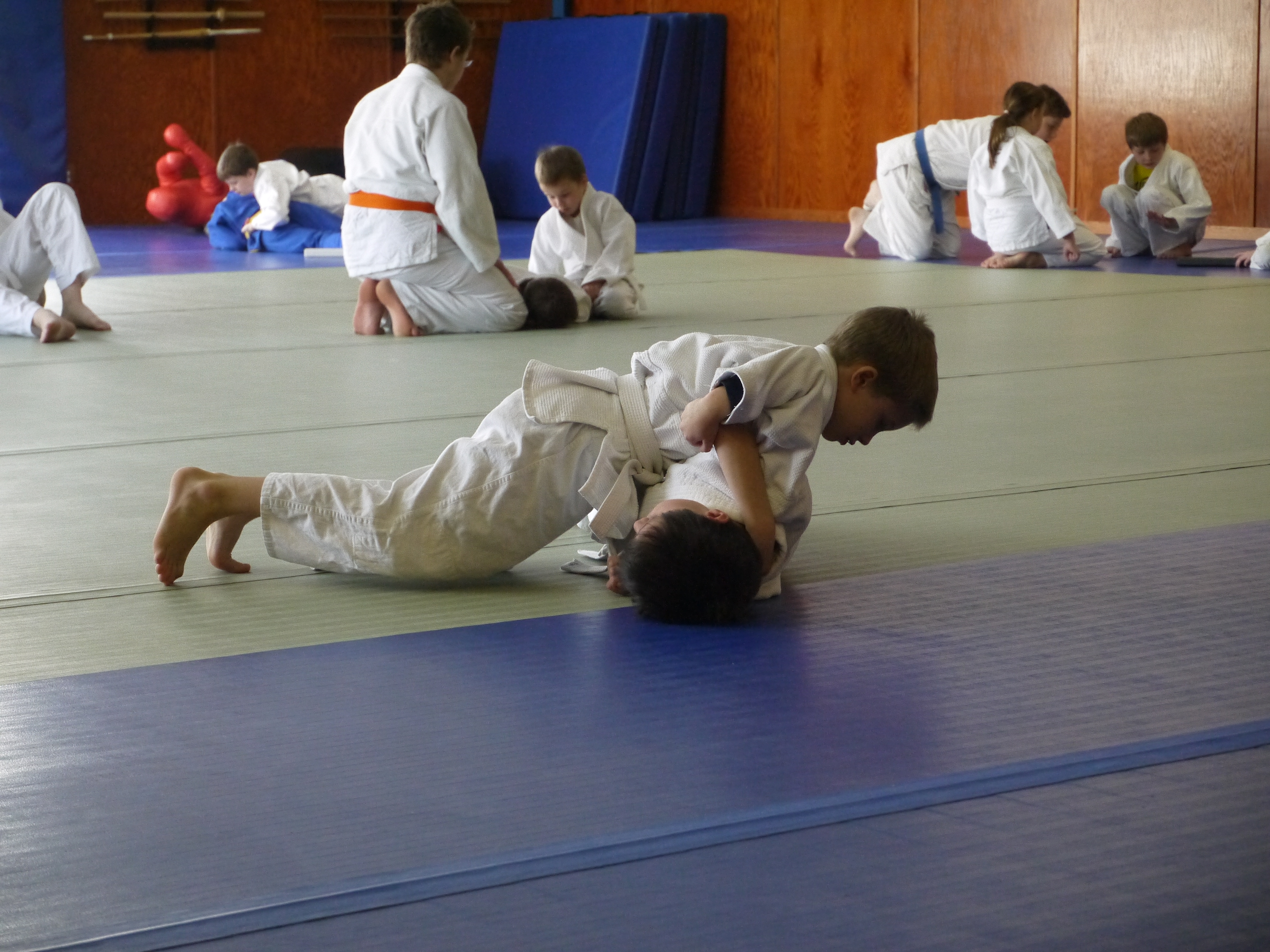 Kid's Judo - Pins
