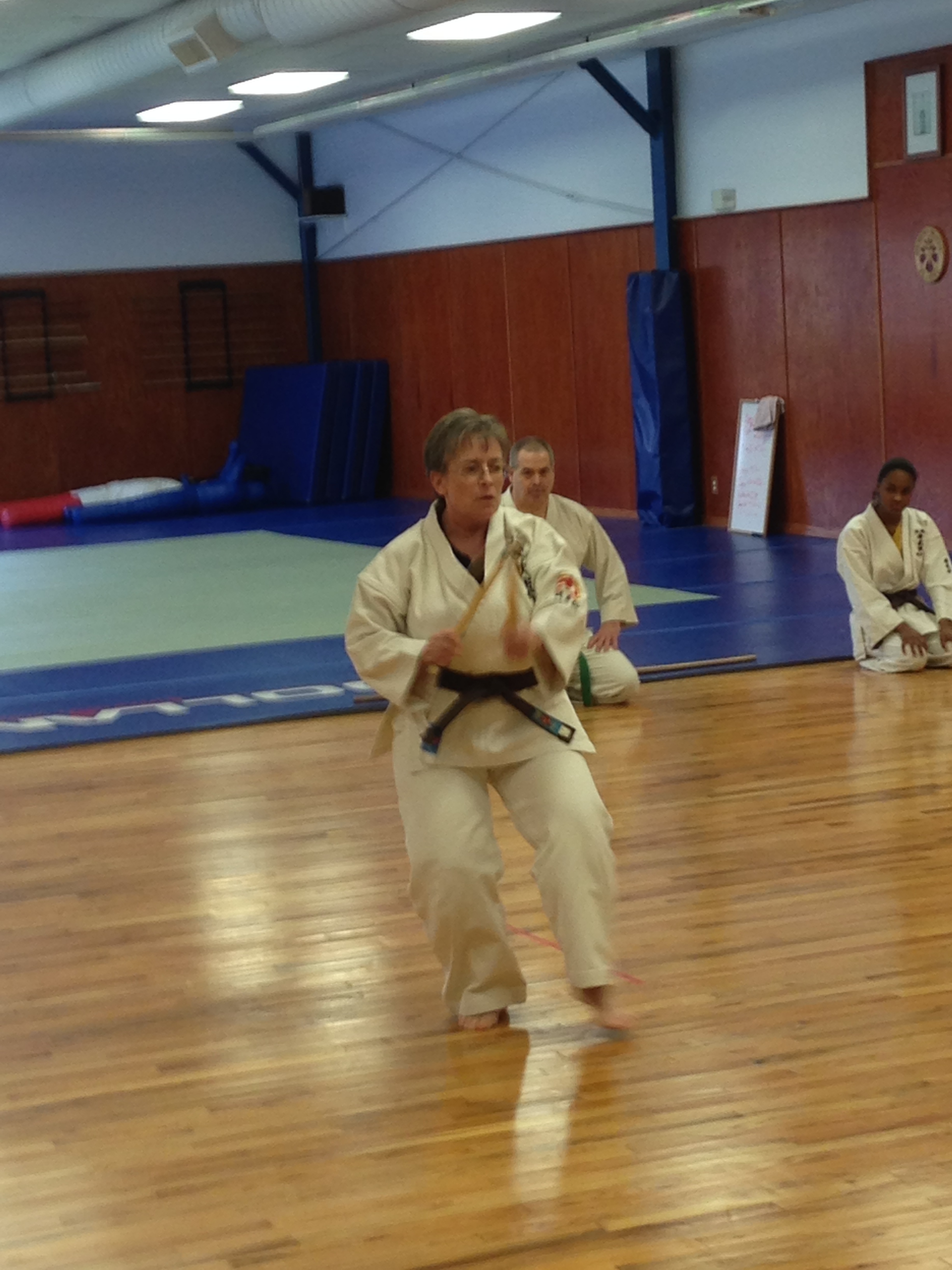 Kobudo kama demonstration