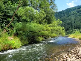 Natural landscape for an all-inclusive fishing stay