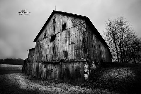 barn-w.jpg