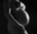 pregnant-g0049832f5_1920.jpg