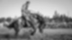 UKIAH RODEO