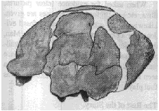 image13