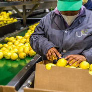 Pakstoor (18)_edited.jpg