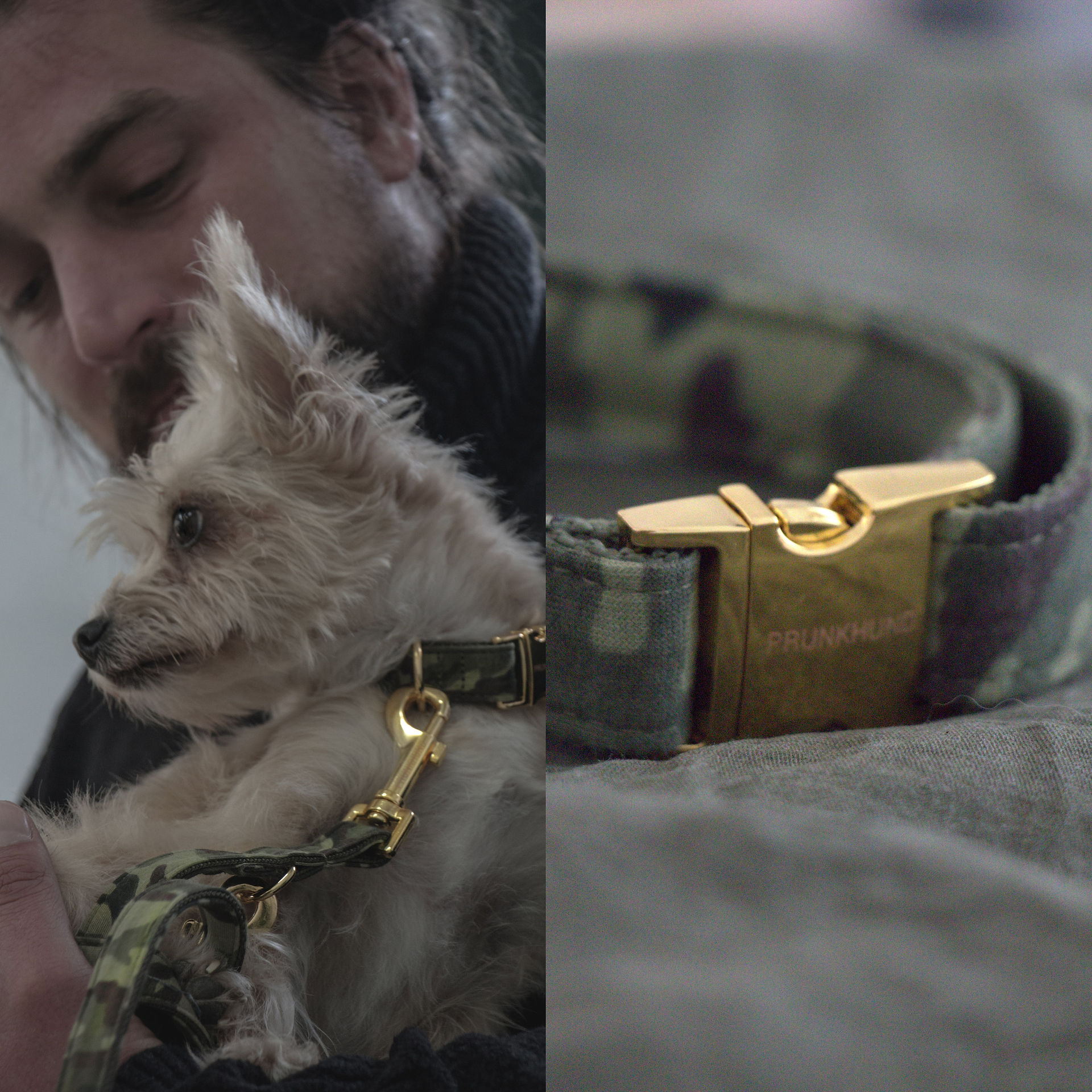 prunkhund71