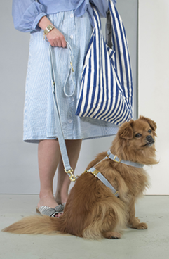 prunkhund (2)