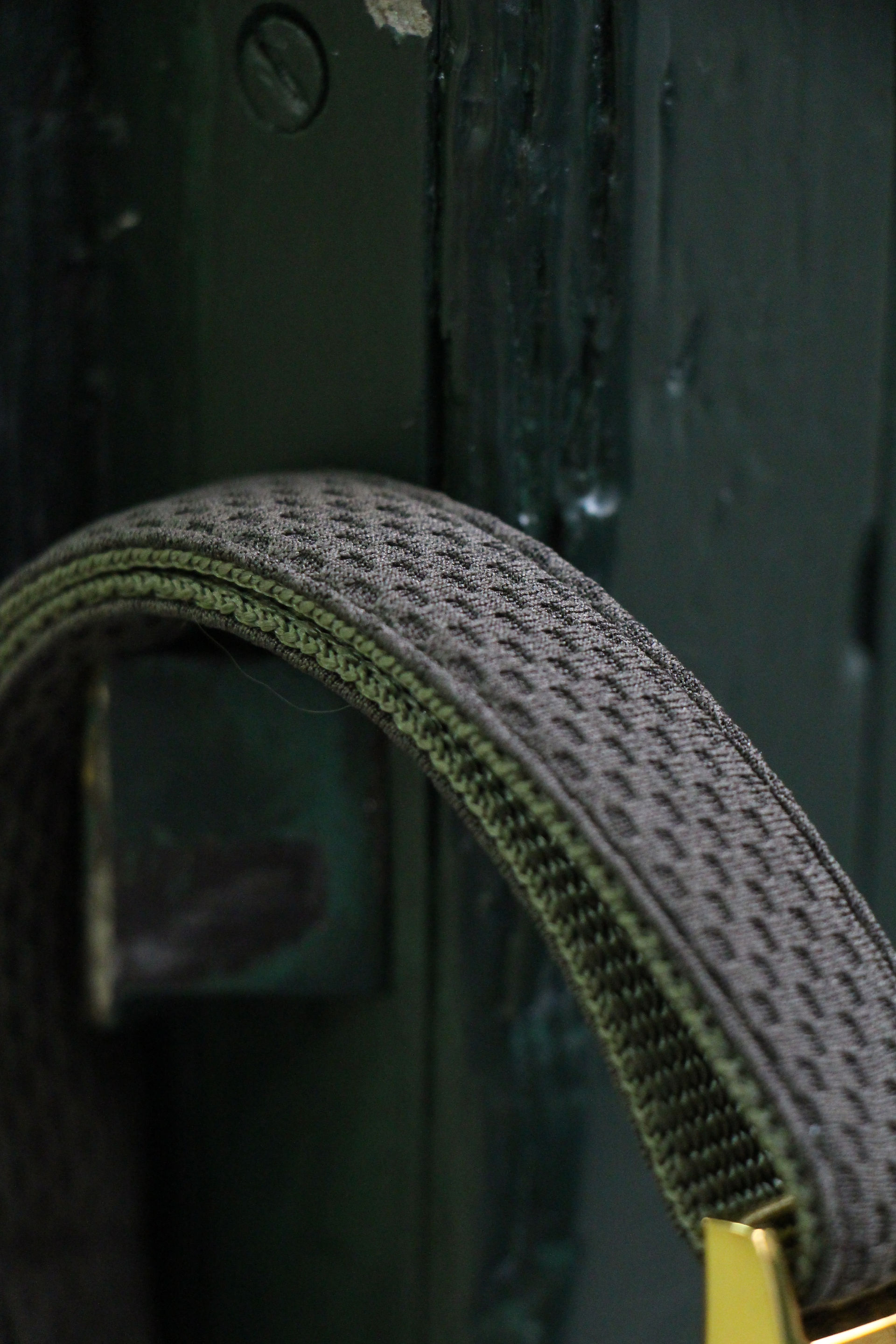 prunkhund36