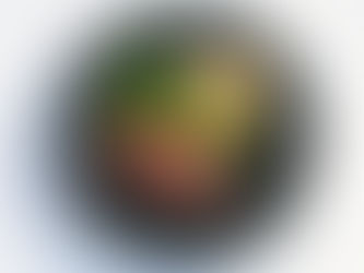 Tomahawk caveman style met gratin, bimi en gepofte knoflook