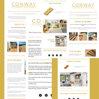 Emai Newsletter Example Fizzin Digital Marketing