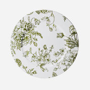 Olive Green Chinoiserie
Chargers, Red Roof Vintage Rentals, Chattanooga and North GA Wedding and Event Rentals