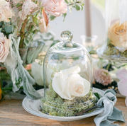 Cloches
Small | $10 | Qty: 2