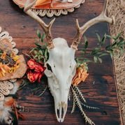 Skulls & Antlers
Qty: 8 | $8