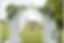 IMG_4550.PNG