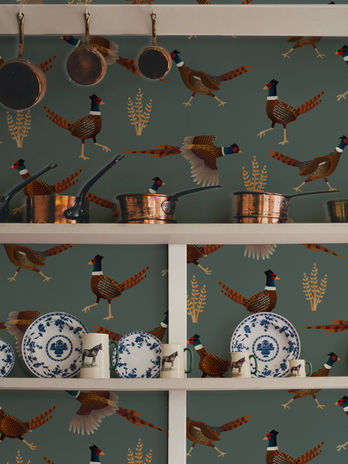 Kitchen shelves with pheasant wallpaper in Hidden Gem green ground