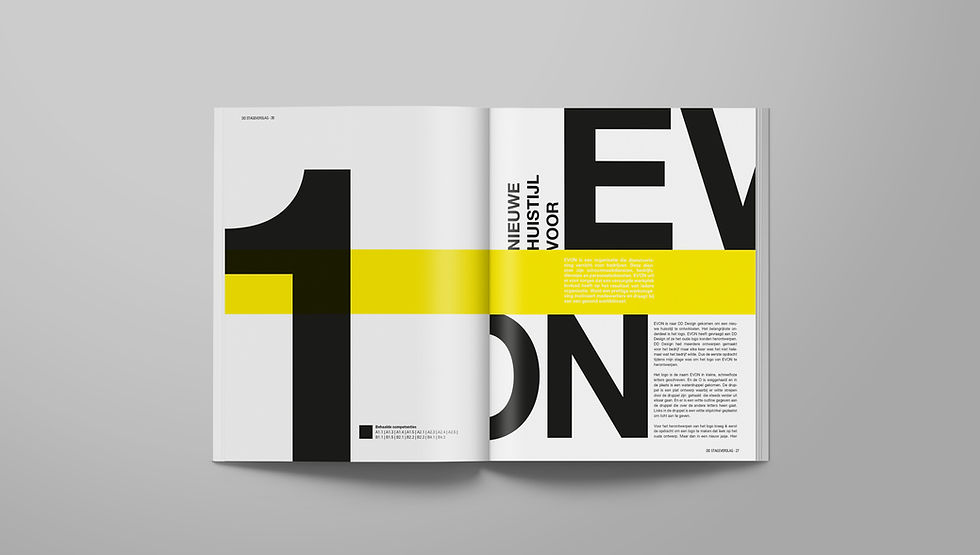 Portfolio magazine