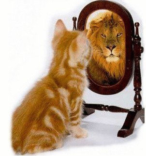 Identidad