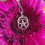Thumbnail: Celestial Spirit: Sterling Silver Pentagram, Moon, Amethyst & Spiral Set