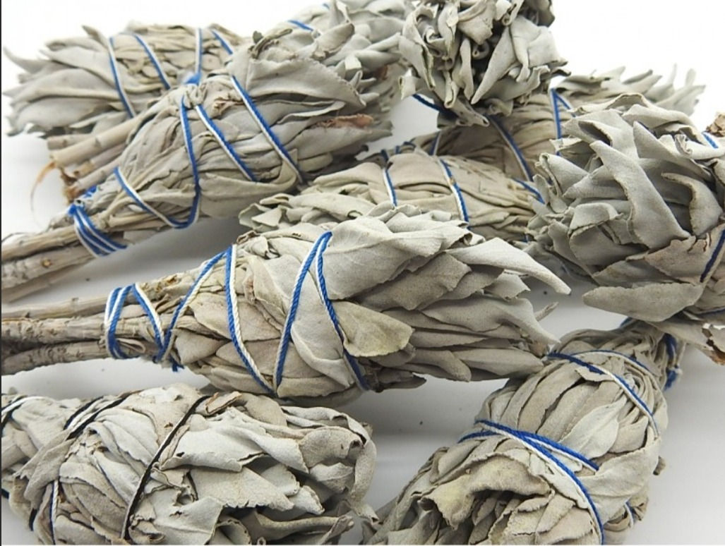 Californian White Sage