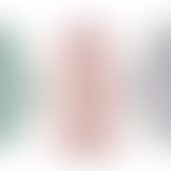 color analysis utrecht armocromia netherlands stylist kleuren palette analyse kleurenanalyse