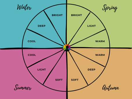 Color Analysis Glossary 🙌 Key Terms Explained