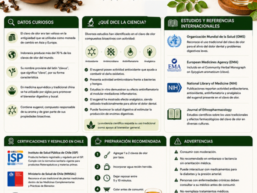 Infografía científica sobre Clavo de Olor (Syzygium aromaticum) con información sobre propiedades antioxidantes, antimicrobianas, digestivas y antiinflamatorias, preparación de infusión y referencias científicas internacionales.
