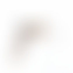 ダイサギとベニヒワ