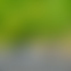 まだまだ恋の季節？