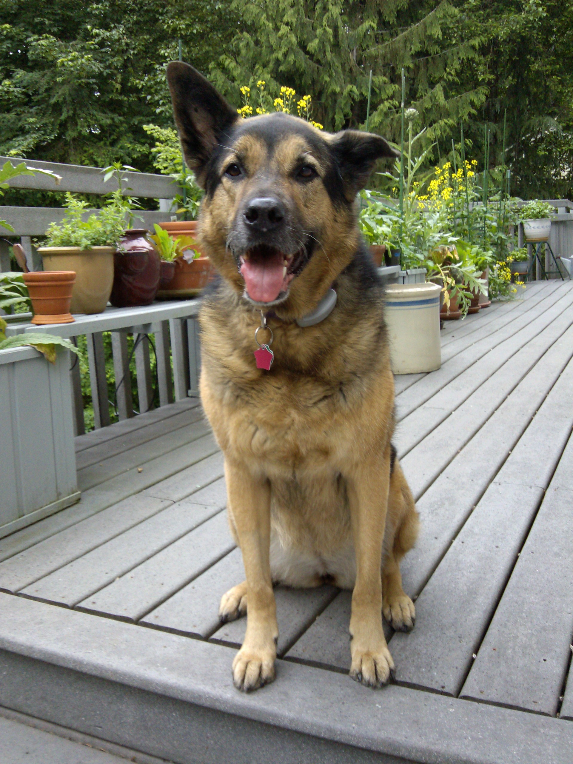 Zoey