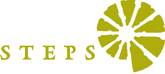 STeps foundation.gif