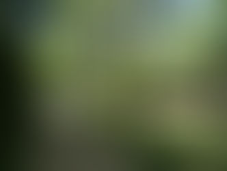 Quartier des Cent Arpents : un charme singulier