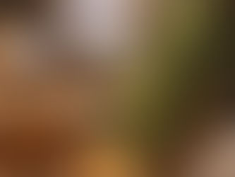 2025年11月23日(日)あつまれ!チームぬか床「のんびり山」の無農薬生姜を使った発酵生姜作りワークショップ