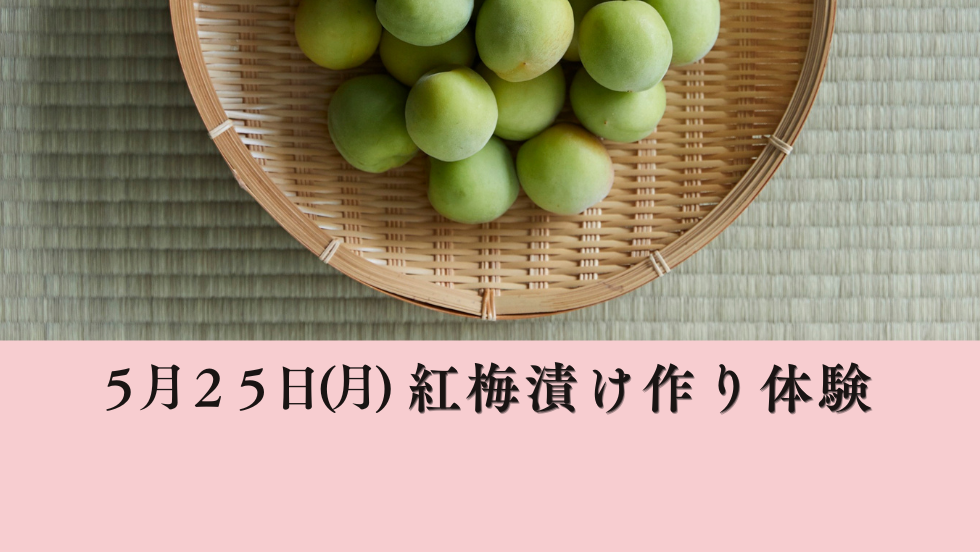 5/25(月)紅梅漬け作り体験