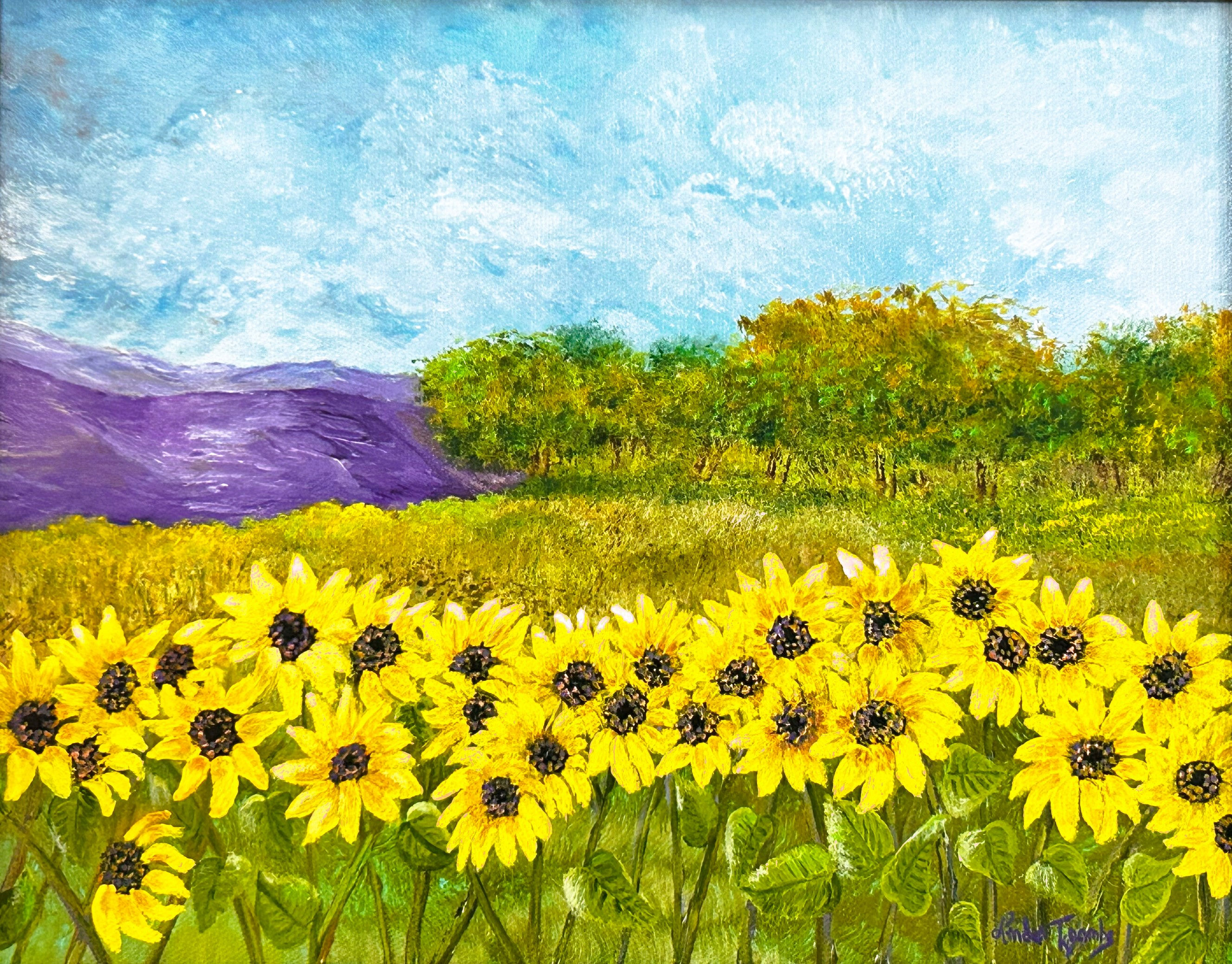 Sunflower Field