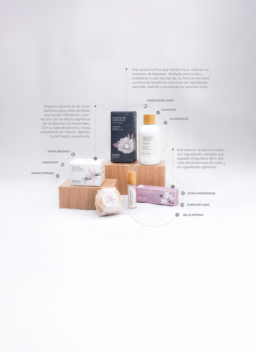 catalogo online-02.jpg
