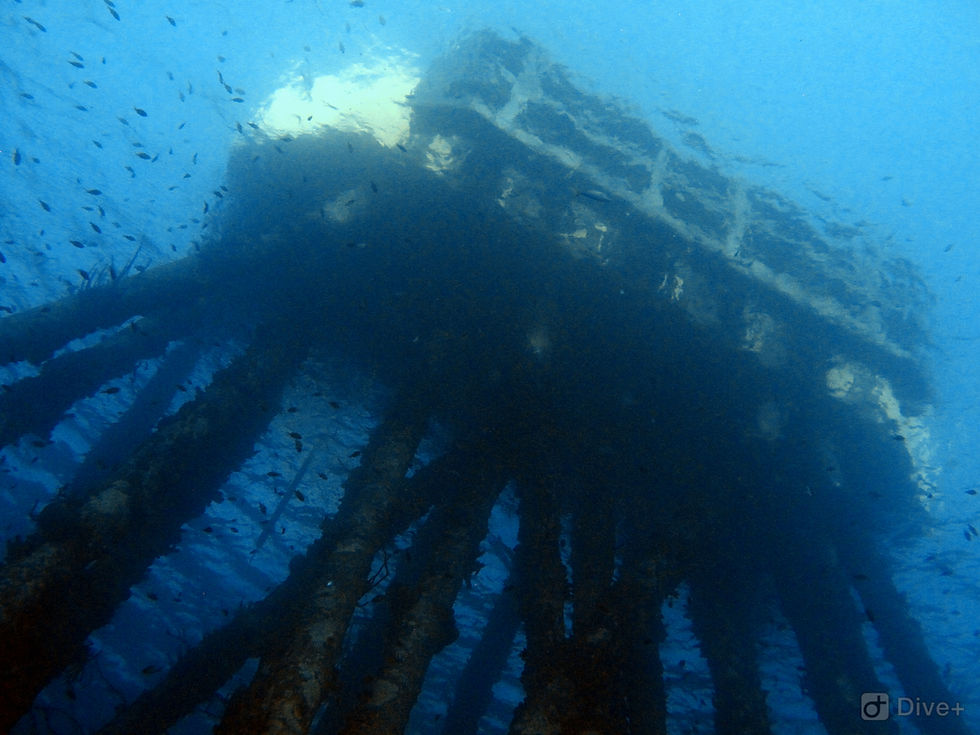 Bodes Dive Team em Bonaire