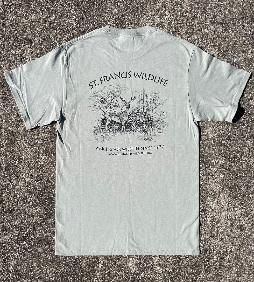 Thumbnail: Buck - Adult T-Shirt