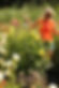 photo-output[37].JPEG