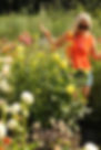 photo-output[37].JPEG