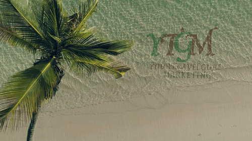 VIDDYOZE-Palm and Beach.gif
