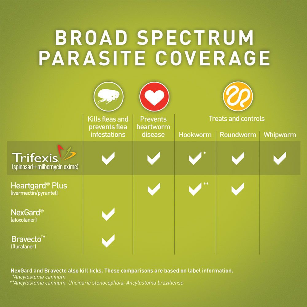 trifexis kills fleas