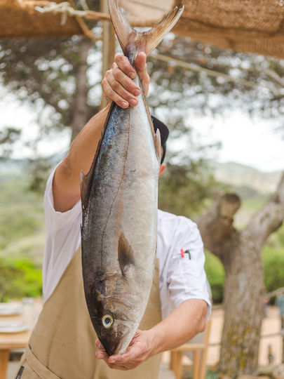 Pescado fresco de Menorca a la brasa en Casa Tirant