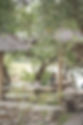 DSC07286.jpg
