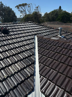 New Monier Marsielle Extension