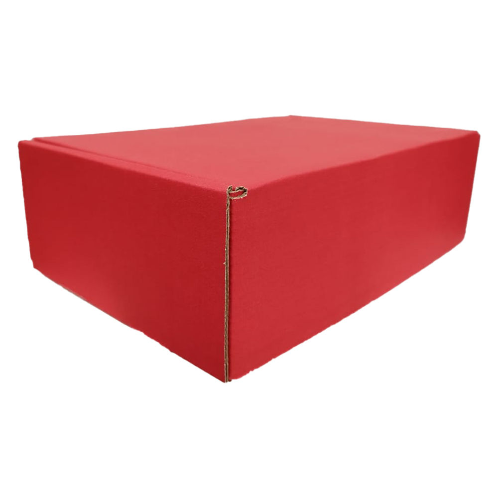 25 CAJAS ECOMMERCE GRANDE ROJA 33X24X9 CM