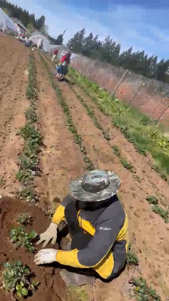 ORMMS Agriculture & Farming Program 