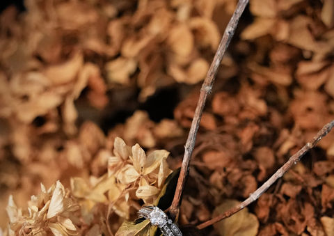 Details
Wedding
Wedding Photography
Photography
BEBO
Bethany Bryan